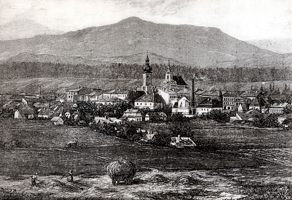    pohled z&nbsp;Frydku na Mistek před rokem 1887   