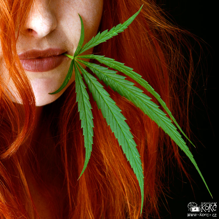    ... pro více trávy, klikni TADY   