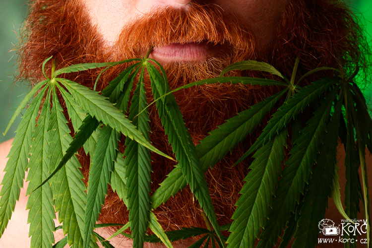    ... pro více trávy, klikni TADY   