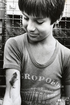 Mickey Maus 1982 Mickey Maus 1982